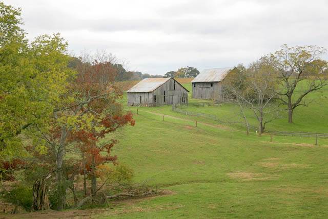 58 - Tennessee Farm #2 ©2006 Carrie Barton